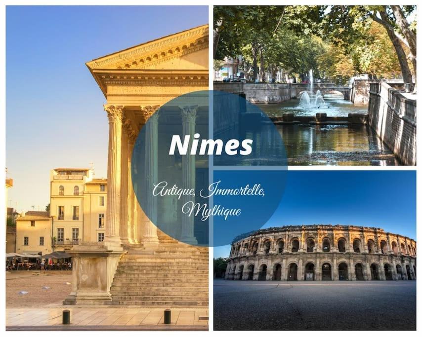 Le Murmure Du Palmier * Mer A 2 Min * Parking Prive * Terrasse 拉格朗德默特 外观 照片