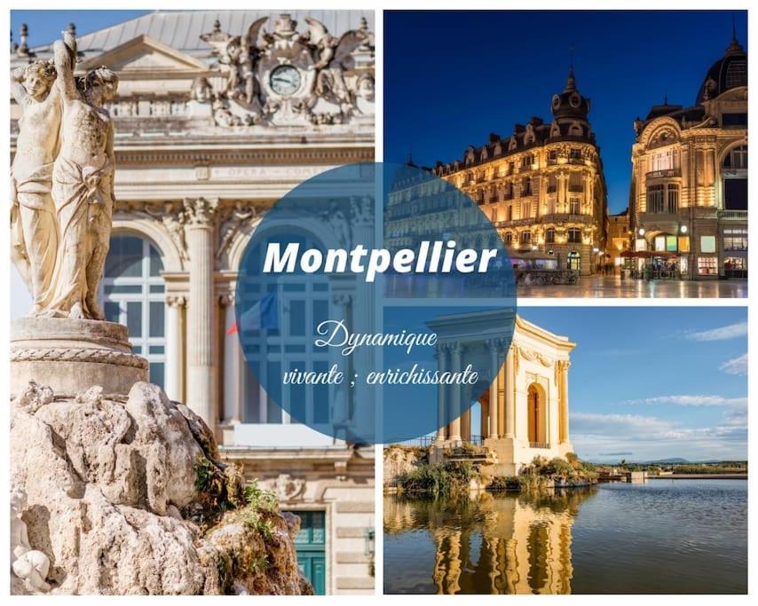 Le Murmure Du Palmier * Mer A 2 Min * Parking Prive * Terrasse 拉格朗德默特 外观 照片