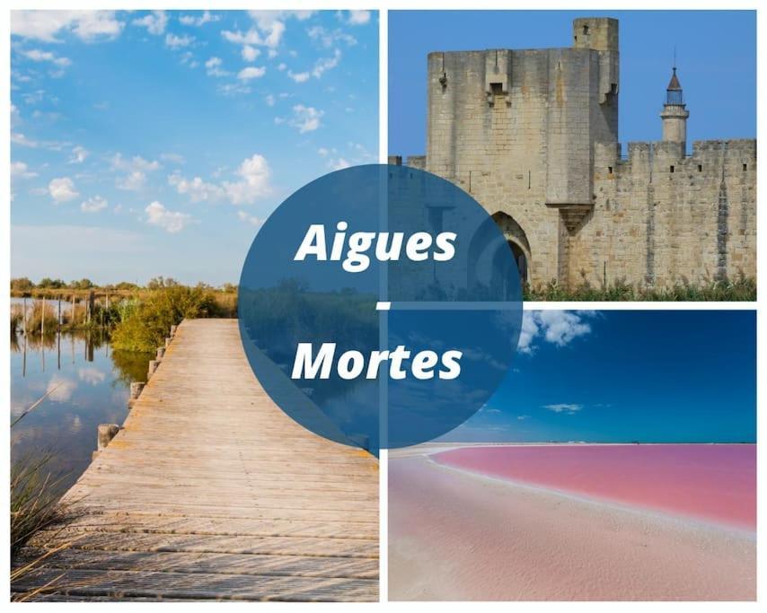 Le Murmure Du Palmier * Mer A 2 Min * Parking Prive * Terrasse 拉格朗德默特 外观 照片